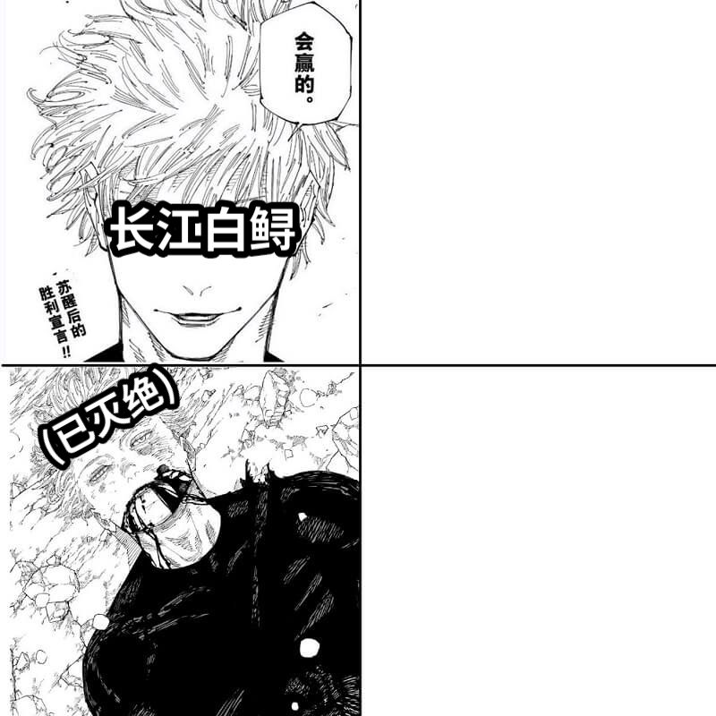 长江白鲟(已灭绝)