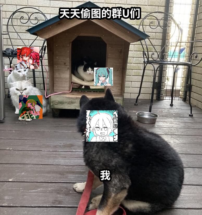 天天偷图的群U们我