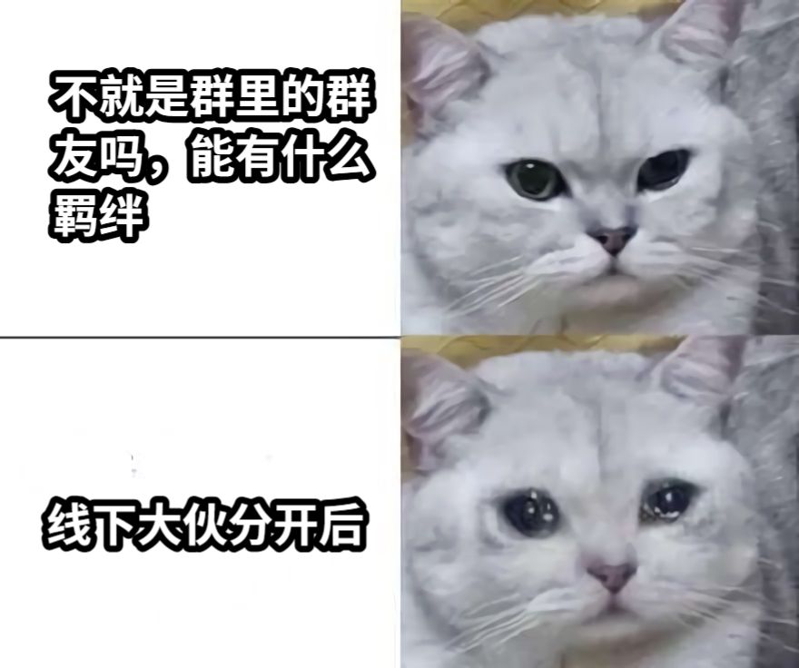 不就是群里的群友吗，能有什么羁绊线下大伙分开后