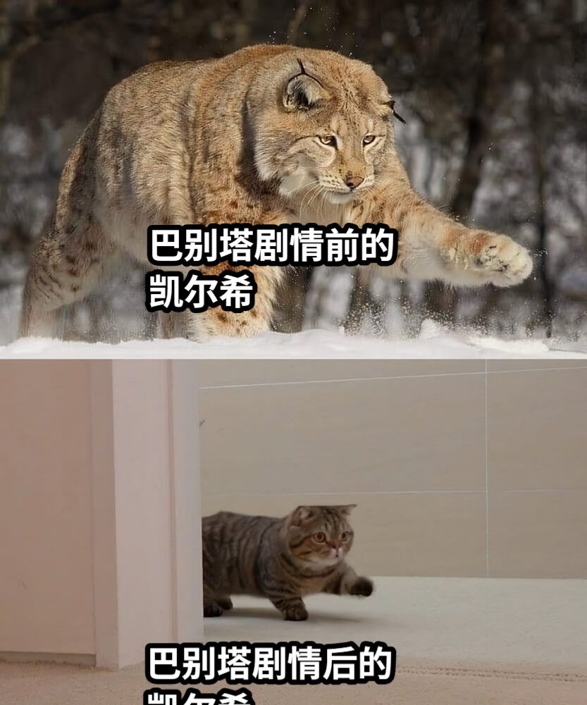 巴别塔剧情前的凯尔希巴别塔剧情后的凯尔希