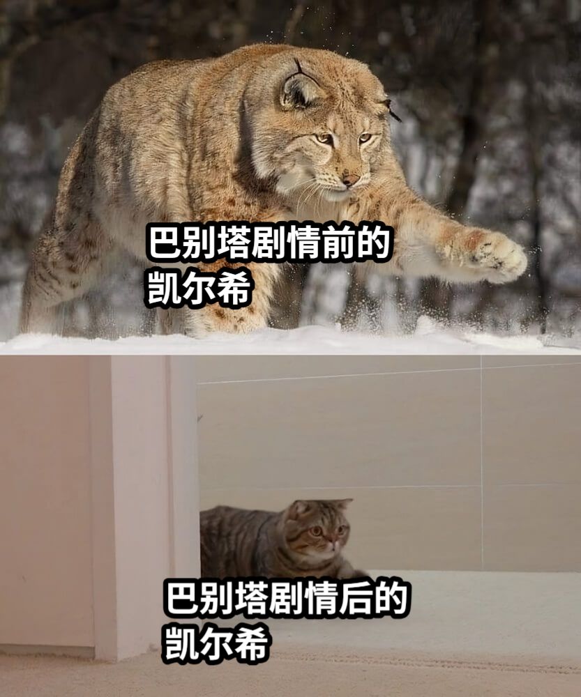 巴别塔剧情前的凯尔希巴别塔剧情后的凯尔希