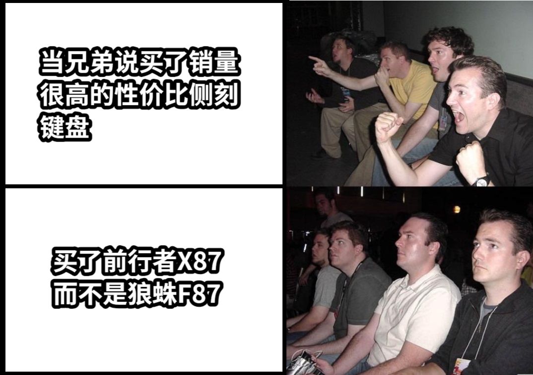 当兄弟说买了销量很高的性价比侧刻键盘买了前行者X87而不是狼蛛F87