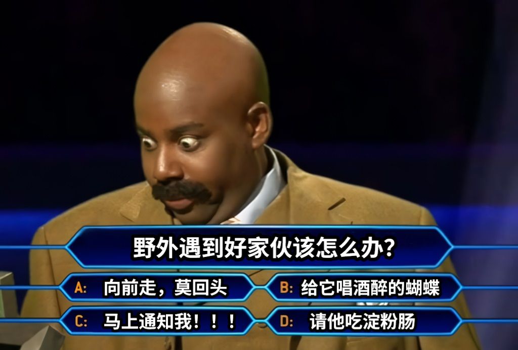 野外遇到好家伙该怎么办？向前走，莫回头给它唱酒醉的蝴蝶马上通知我！！！请他吃淀粉肠