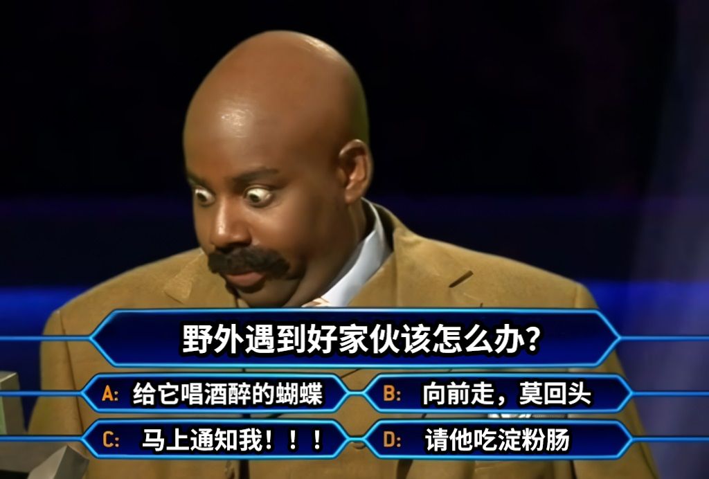 野外遇到好家伙该怎么办？向前走，莫回头给它唱酒醉的蝴蝶马上通知我！！！请他吃淀粉肠