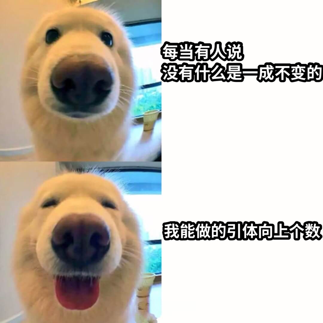 每当有人说没有什么是一成不变的我能做的引体向上个数