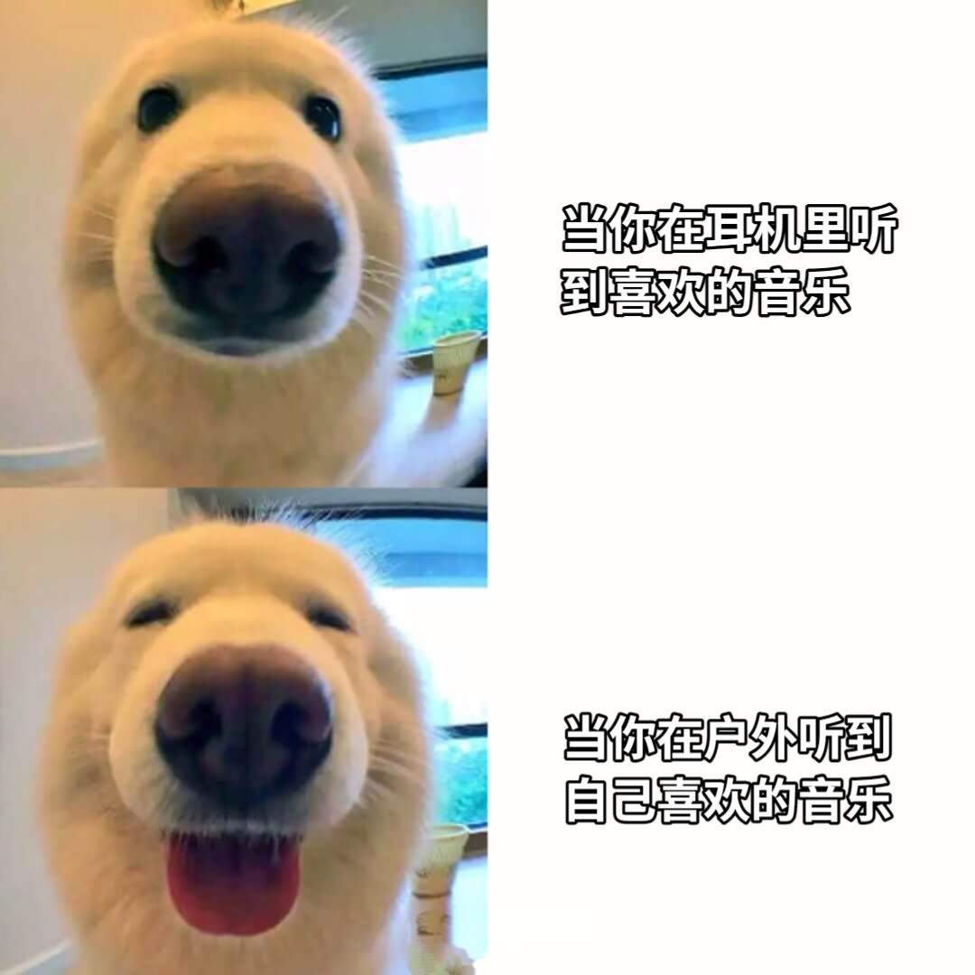 当你在耳机里听到喜欢的音乐当你在户外听到自己喜欢的音乐