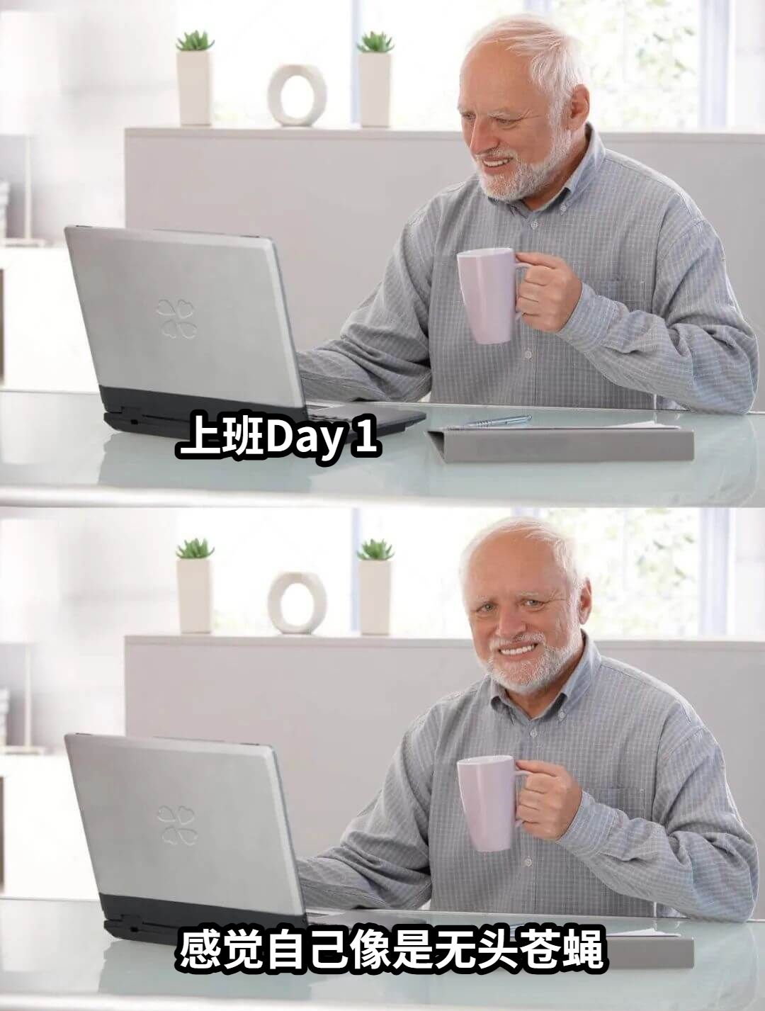 上班Day 1感觉自己像是无头苍蝇