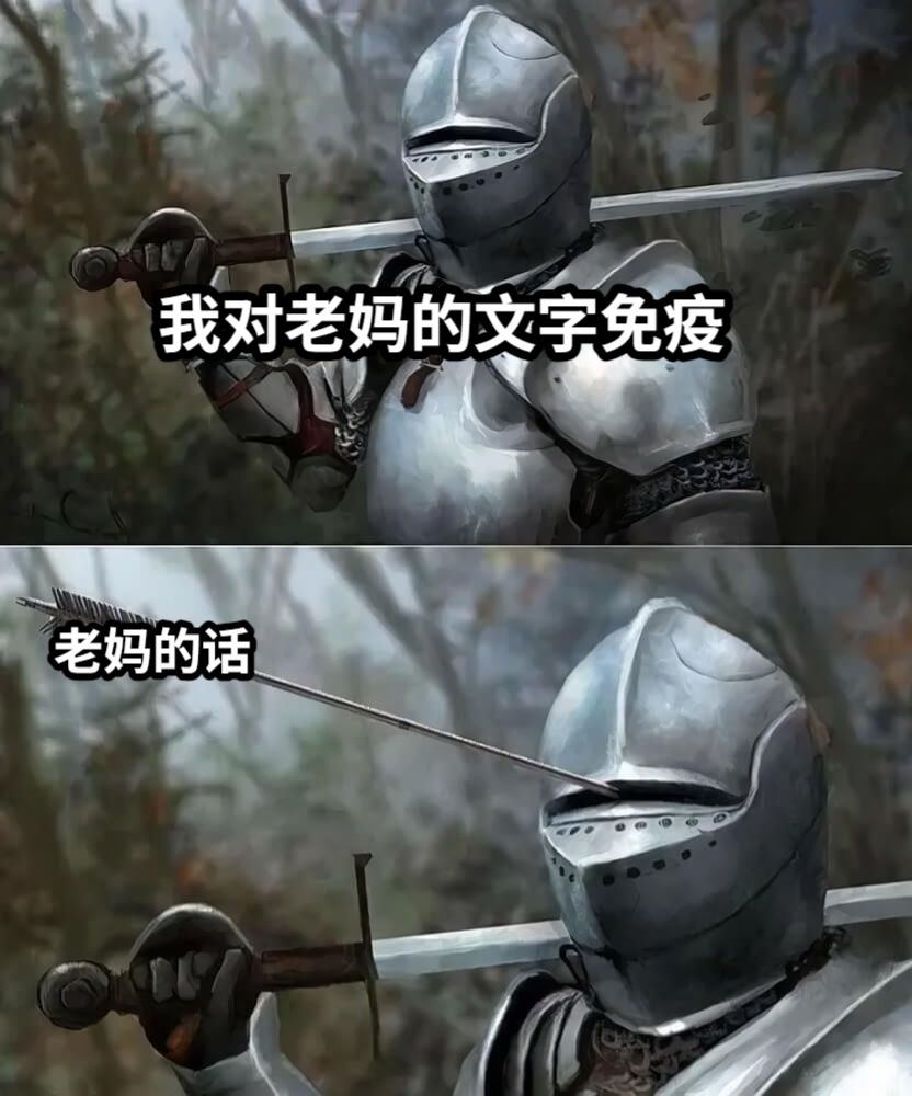 我对老妈的文字免疫老妈的话