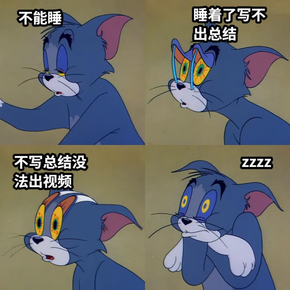 不能睡睡着了写不出总结不写总结没法出视频zzzz