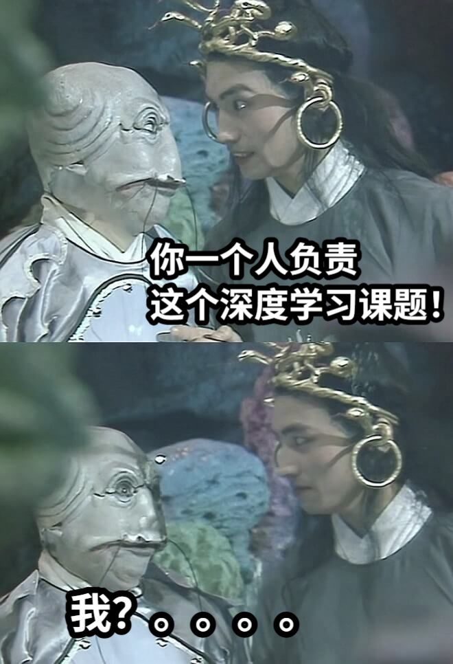 你一个人负责这个深度学习课题！我？。。。。