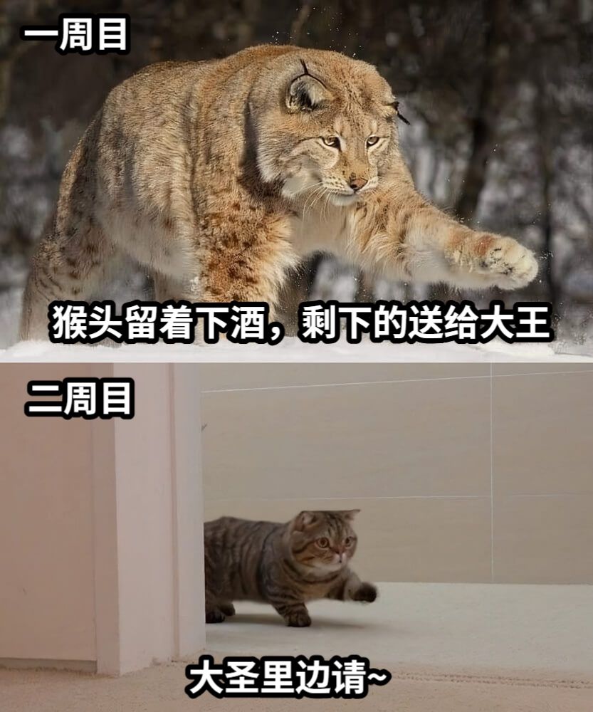 一周目猴头留着下酒，剩下的送给大王二周目大圣里边请~