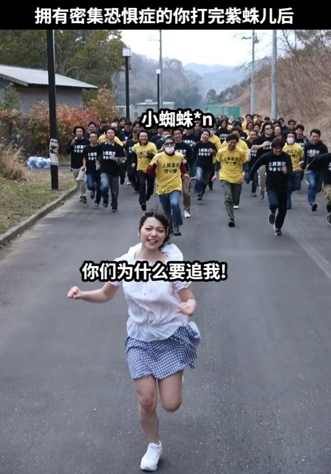 拥有密集恐惧症的你打完紫蛛儿后小蜘蛛*n你们为什么要追我!