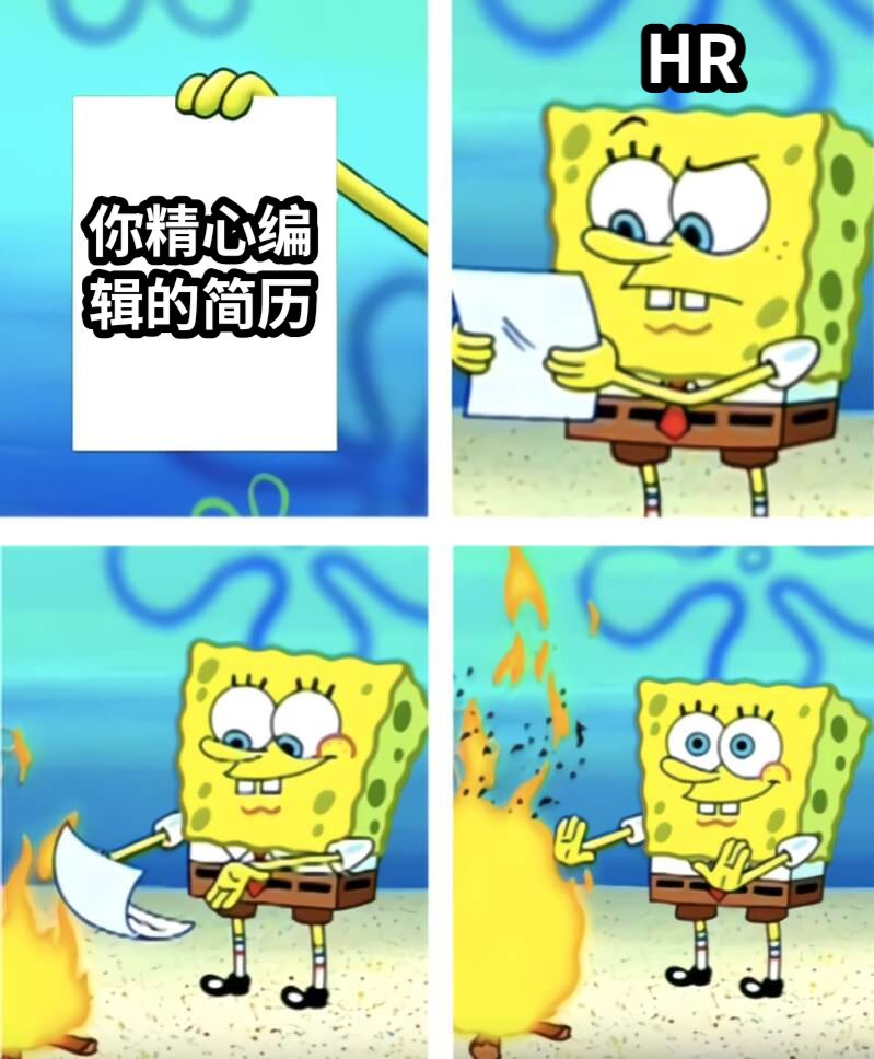 你精心编辑的简历HR