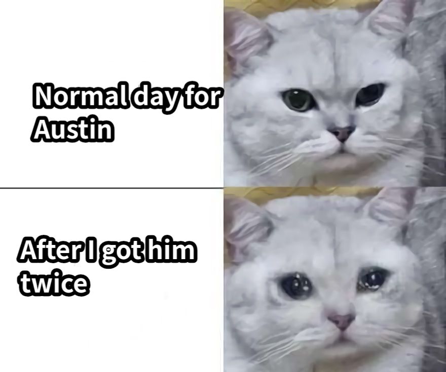 Normal day for AustinAfter I got him twice