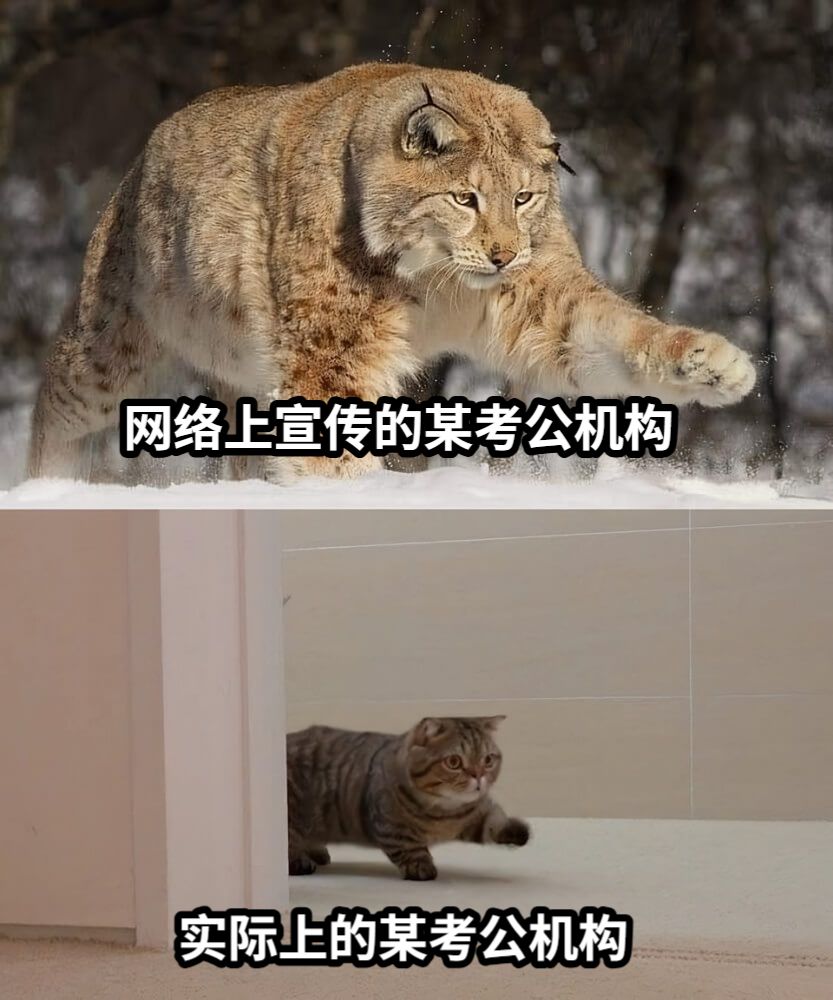 网络上宣传的某考公机构实际上的某考公机构