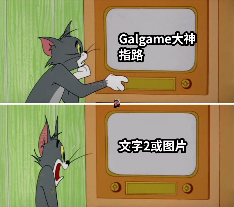 Galgame大神指路文字2或图片
