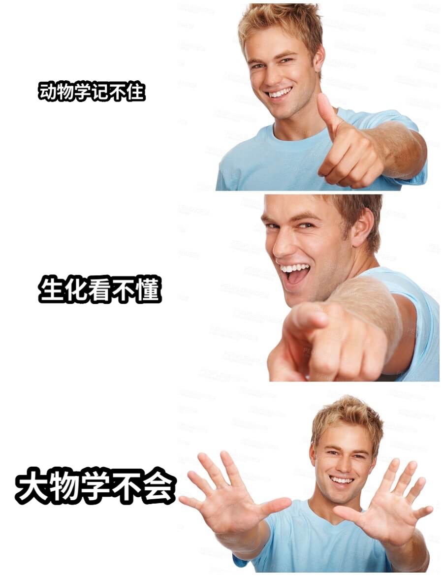 动物学记不住生化看不懂大物学不会