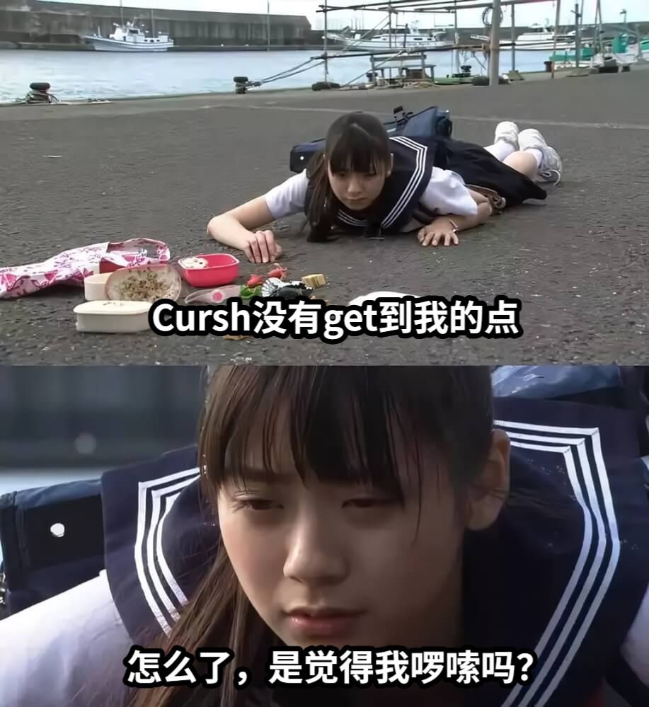 Cursh没有get到我的点怎么了，是觉得我啰嗦吗？