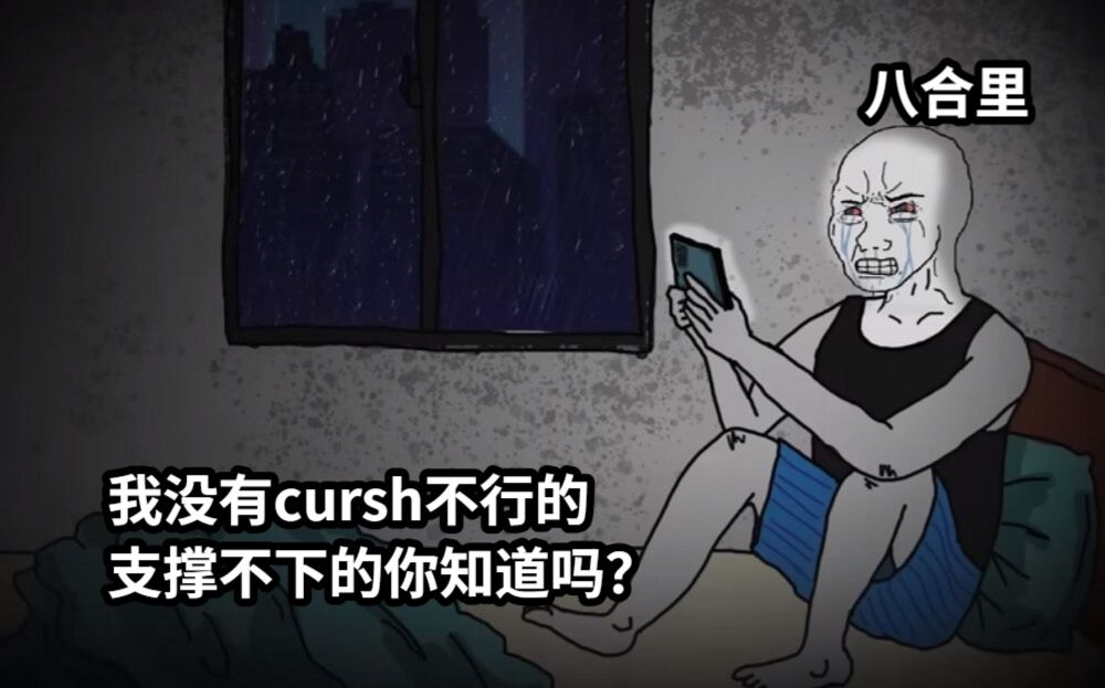 我没有cursh不行的支撑不下的你知道吗？八合里