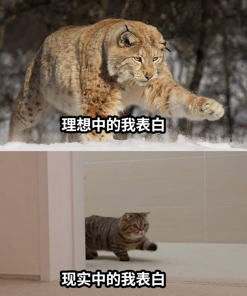 理想中的我表白现实中的我表白