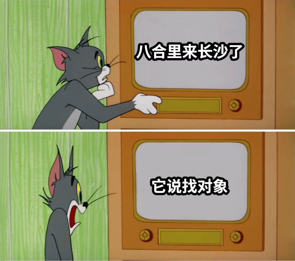 八合里来长沙了它说找对象