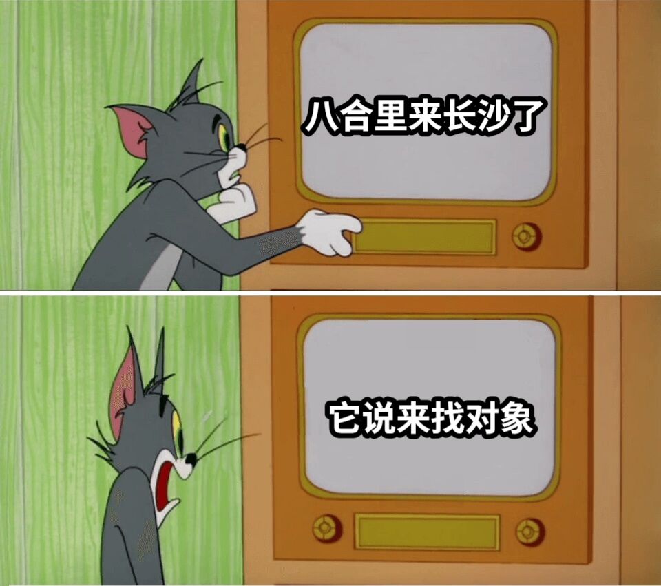 八合里来长沙了它说来找对象