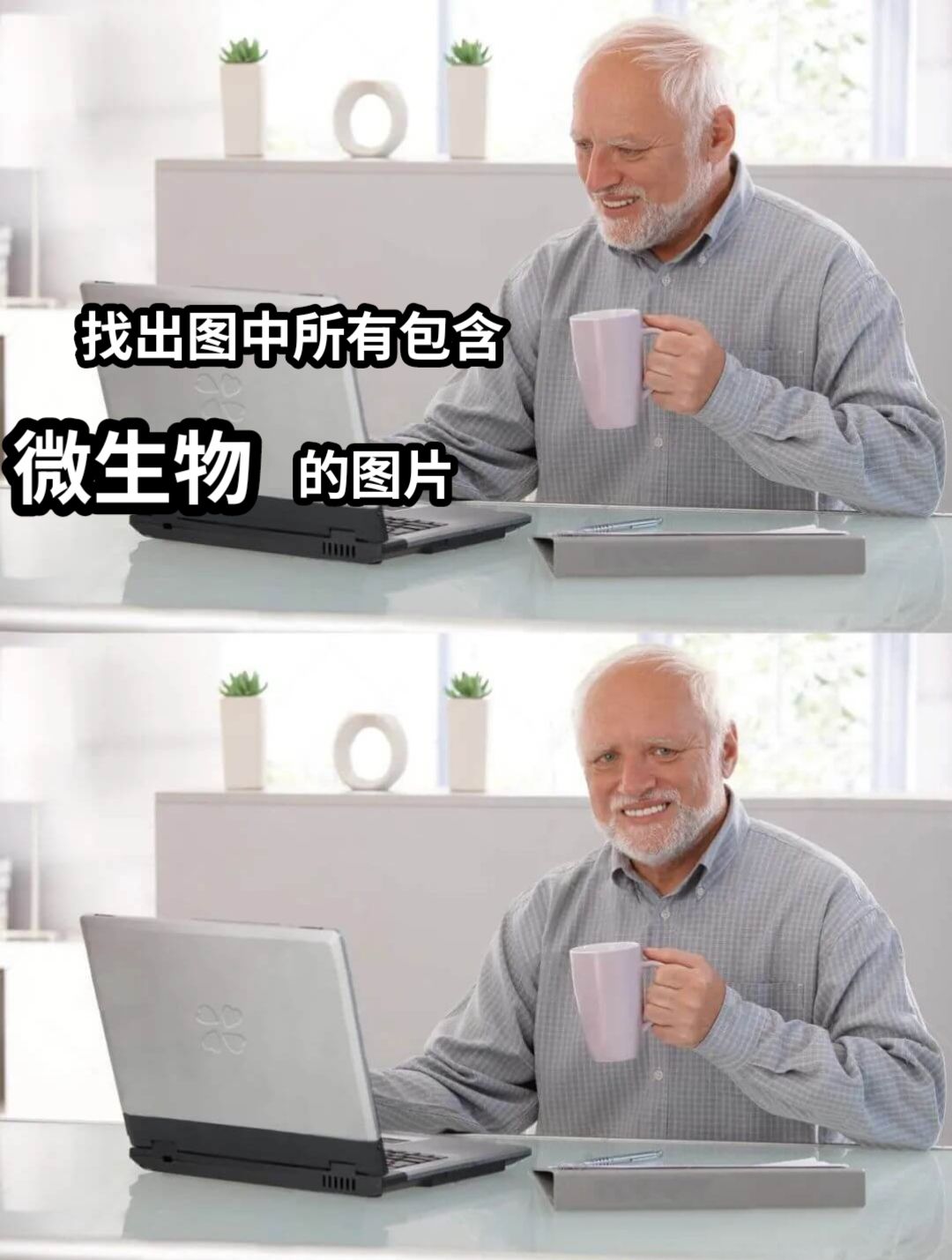 找出图中所有包含                                     的图片微生物