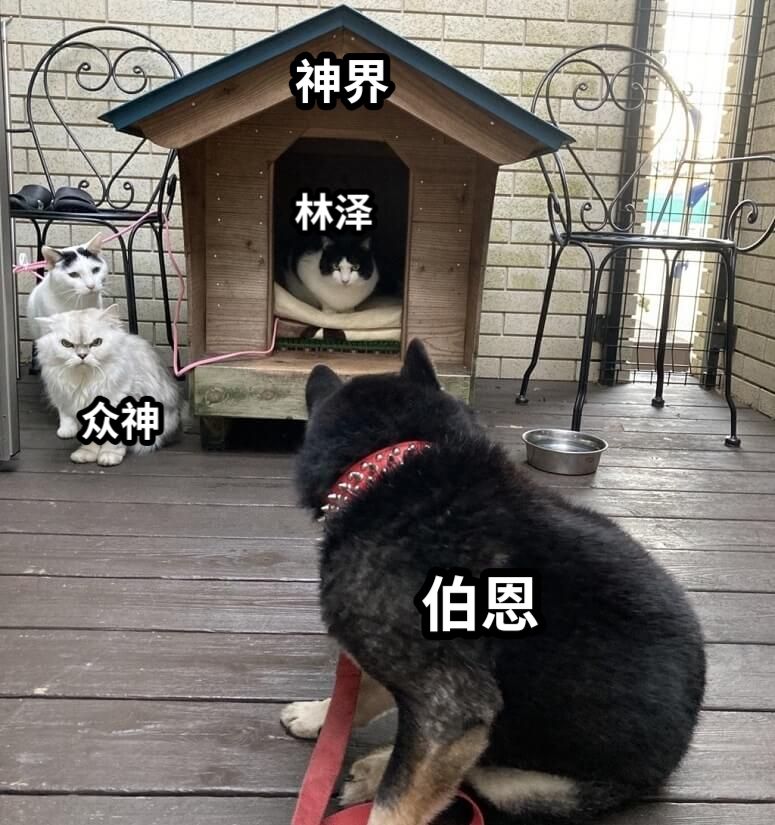 伯恩神界林泽众神