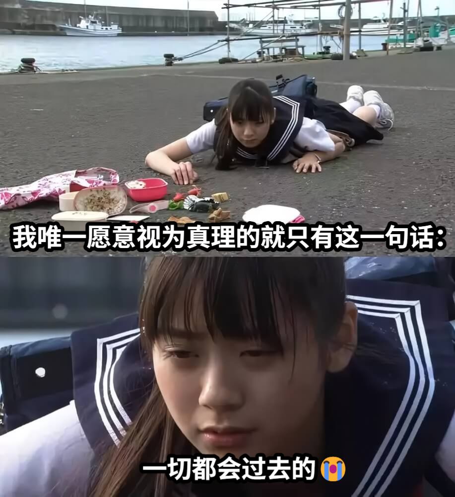 我唯一愿意视为真理的就只有这一句话：一切都会过去的😭