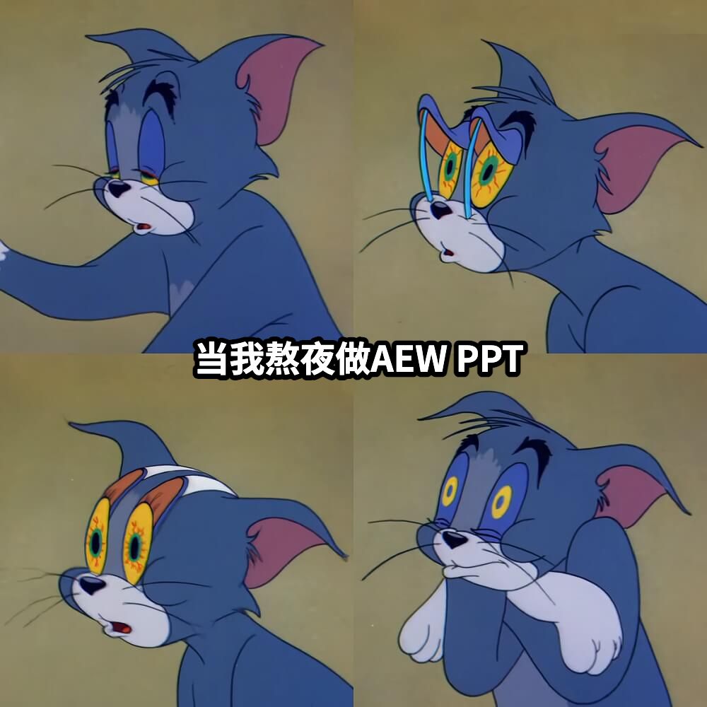 当我熬夜做AEW PPT
