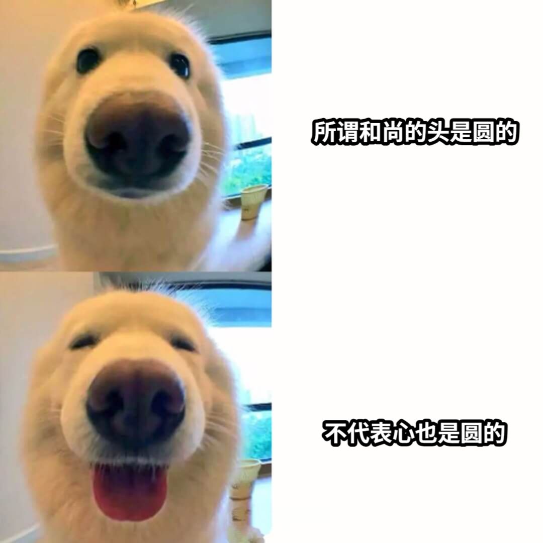 所谓和尚的头是圆的不代表心也是圆的