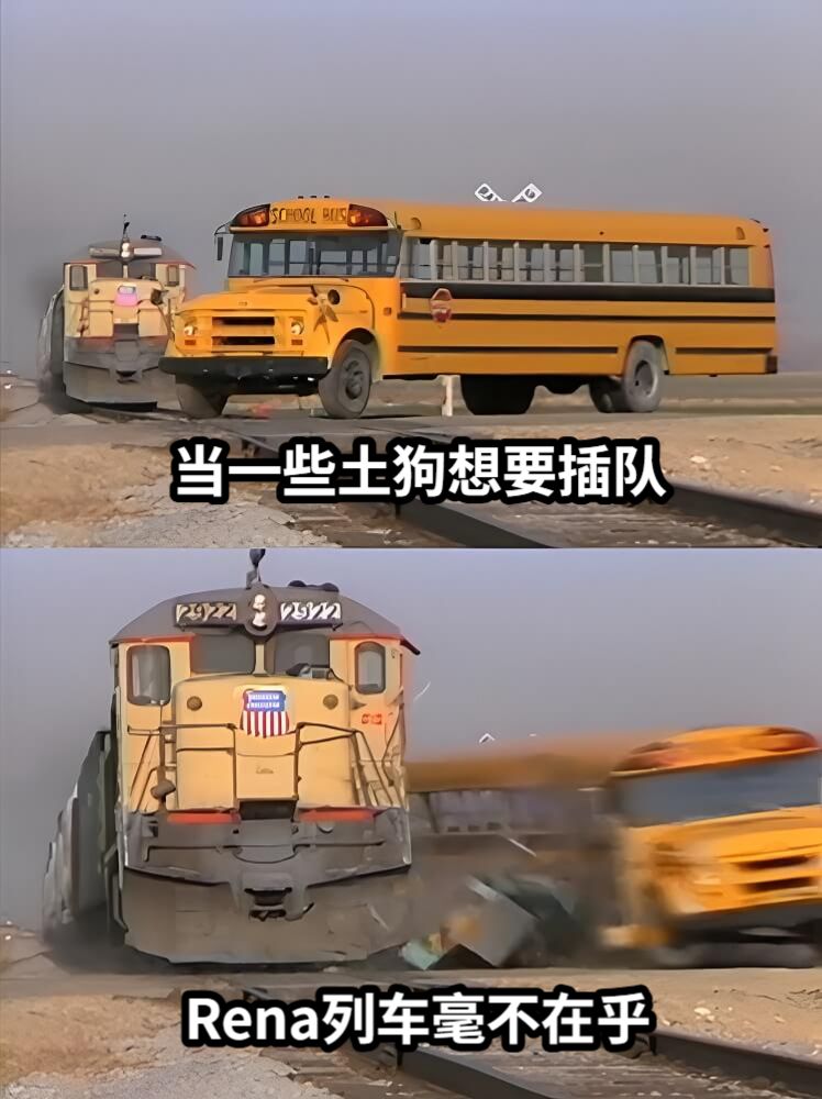 当一些土狗想要插队Rena列车毫不在乎