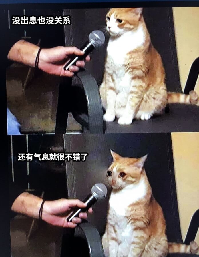 有气息就很好了