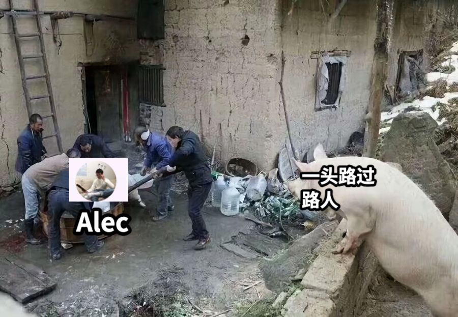 Alec一头路过路人