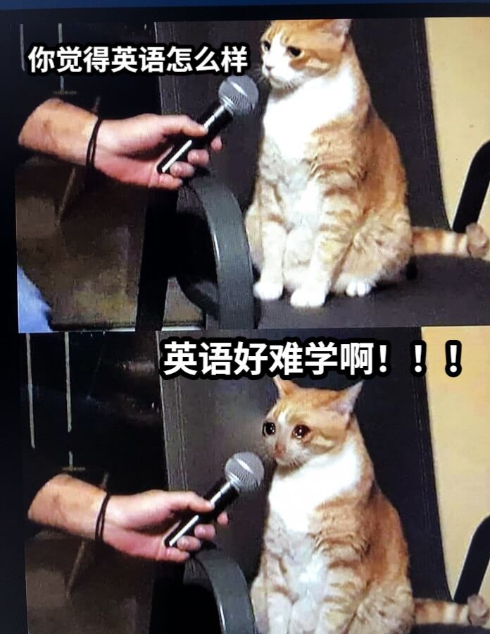 你觉得英语怎么样英语好难学啊！！！