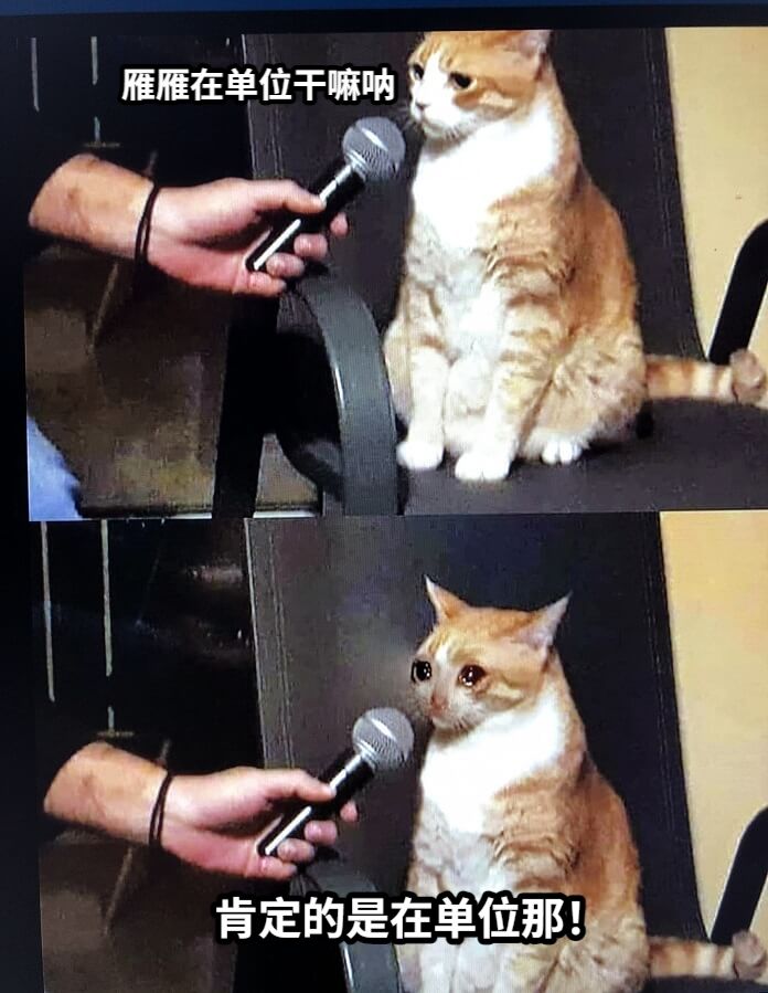 雁雁在单位干嘛呐肯定的是在单位那！