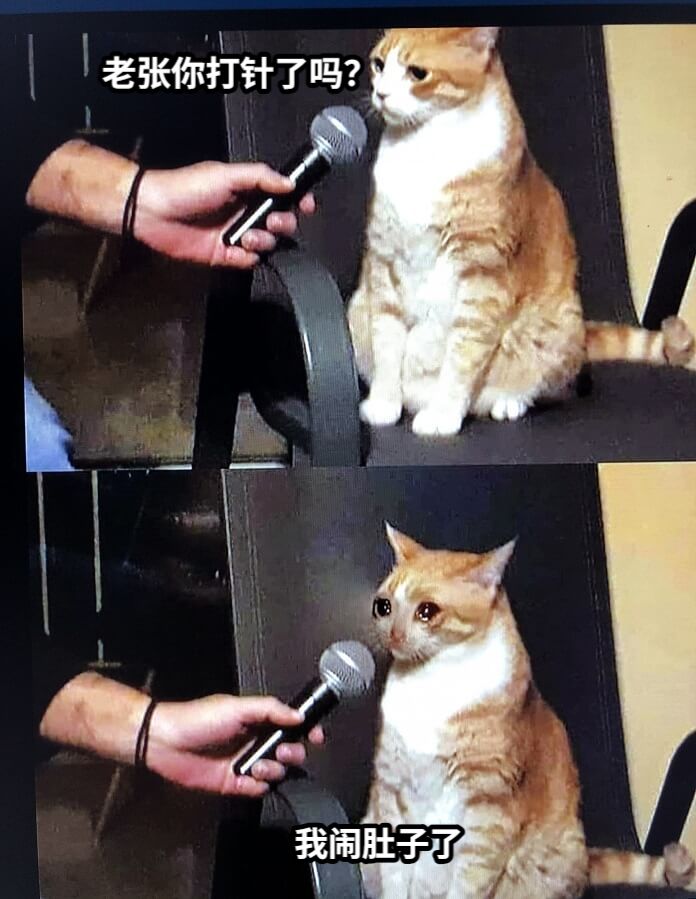 老张你打针了吗？我闹肚子了