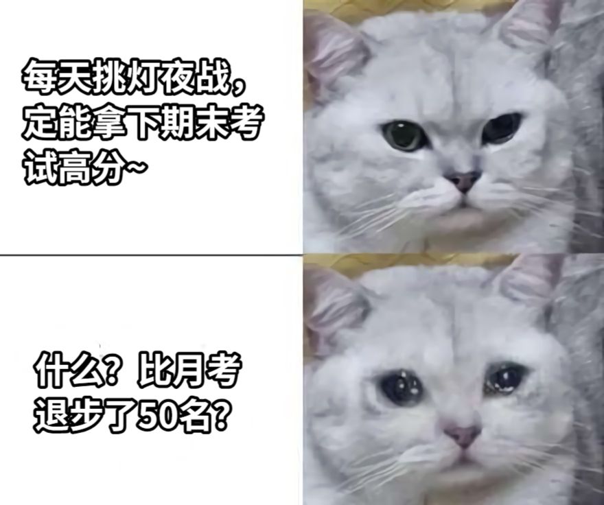 好好准备考试的我belike