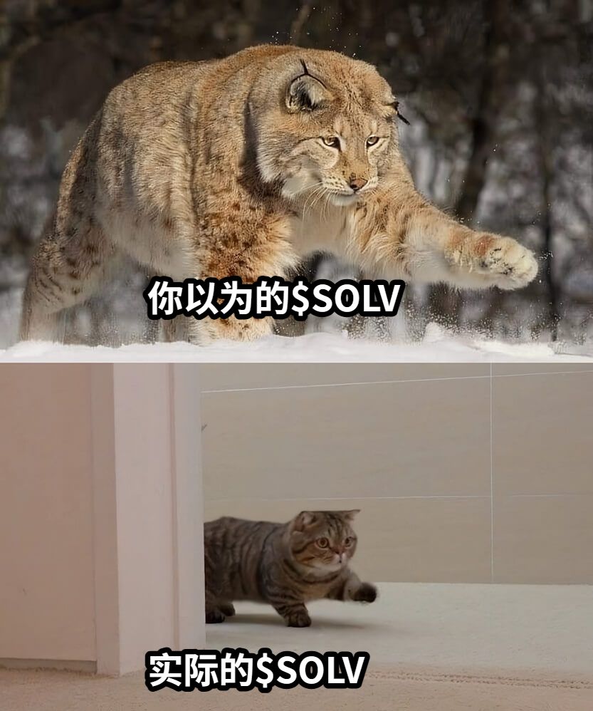你以为的$SOLV实际的$SOLV