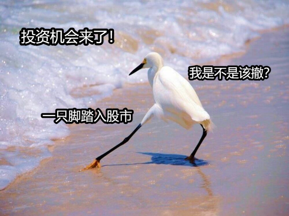 一只脚踏入股市我是不是该撤？投资机会来了！