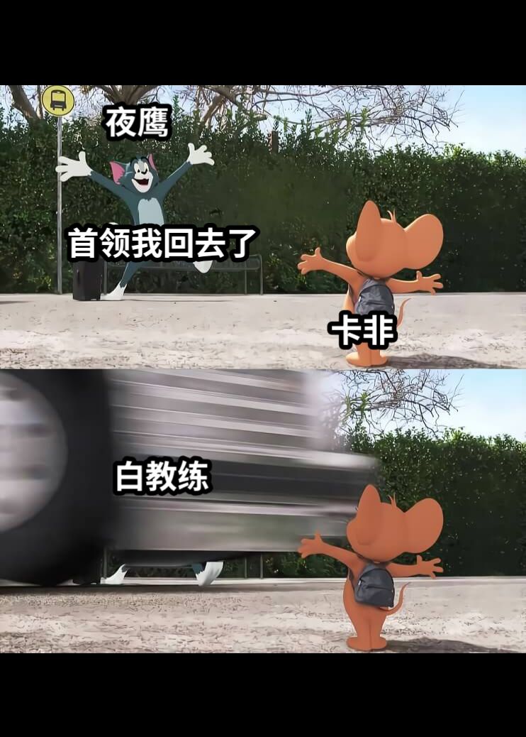 首领我回去了白教练卡非夜鹰