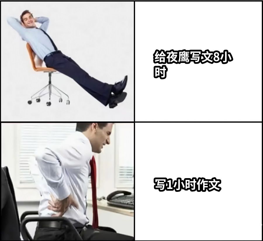给夜鹰写文8小时写1小时作文