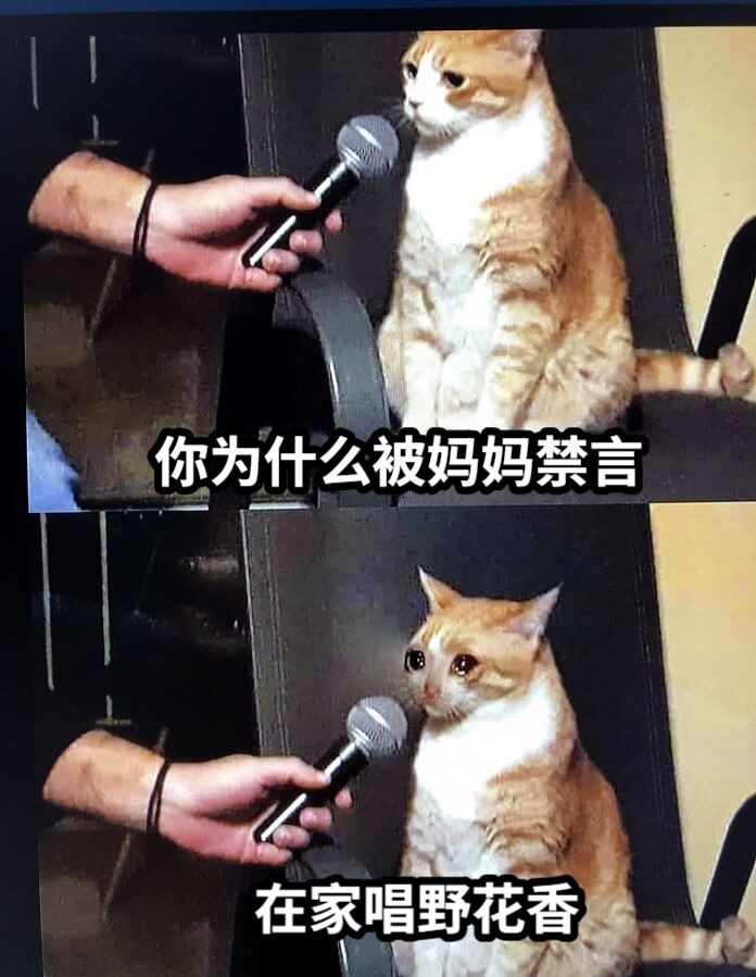 你为什么被妈妈禁言在家唱野花香