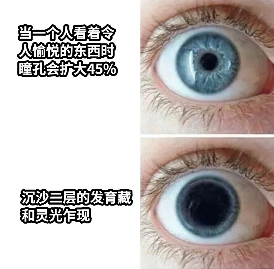 当一个人看着令人愉悦的东西时瞳孔会扩大45%沉沙二层的发育藏和灵光乍现