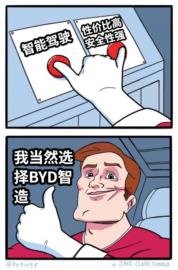 智能驾驶性价比高安全性强我当然选择BYD智造