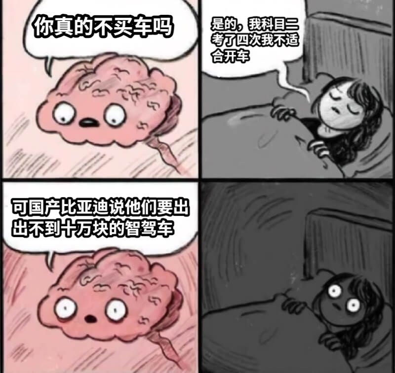 你真的不买车吗是的，我科目二考了四次我不适合开车可国产比亚迪说他们要出出不到十万块的智驾车