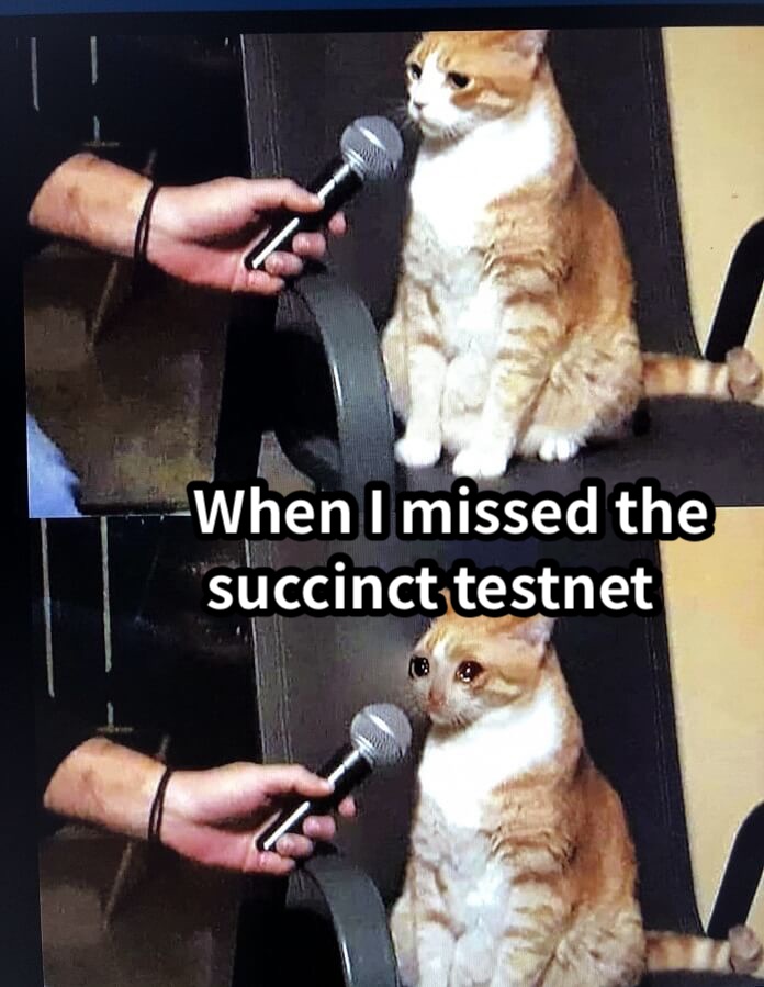 When I missed the succinct testnet