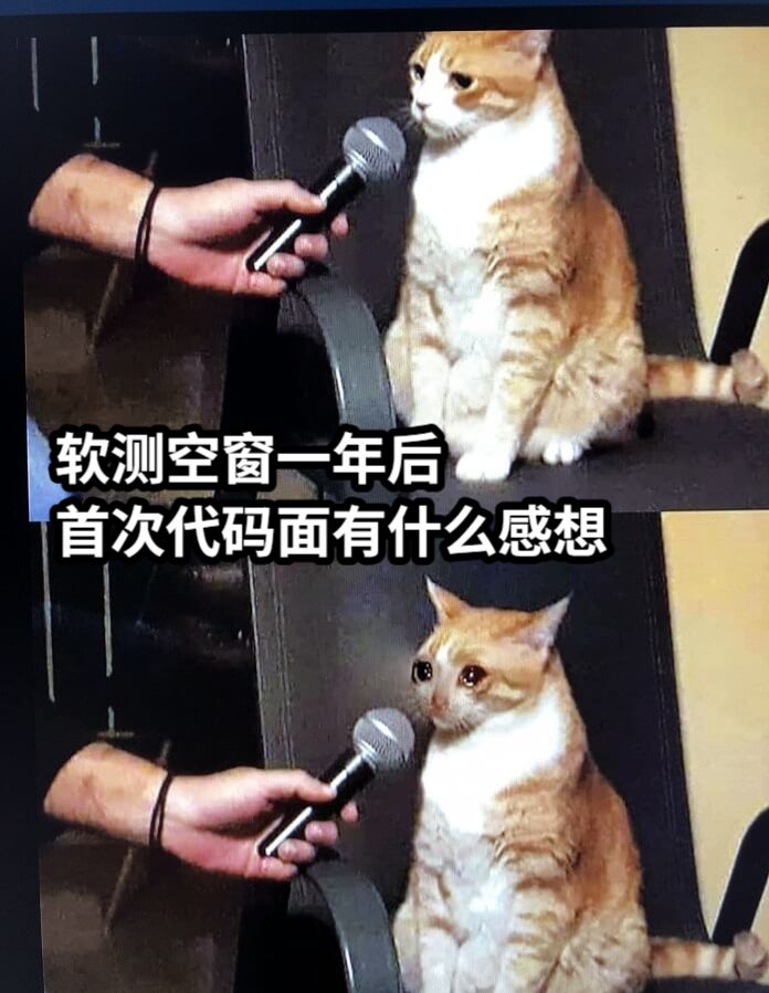 软测空窗一年后                     首次代码面有什么感想