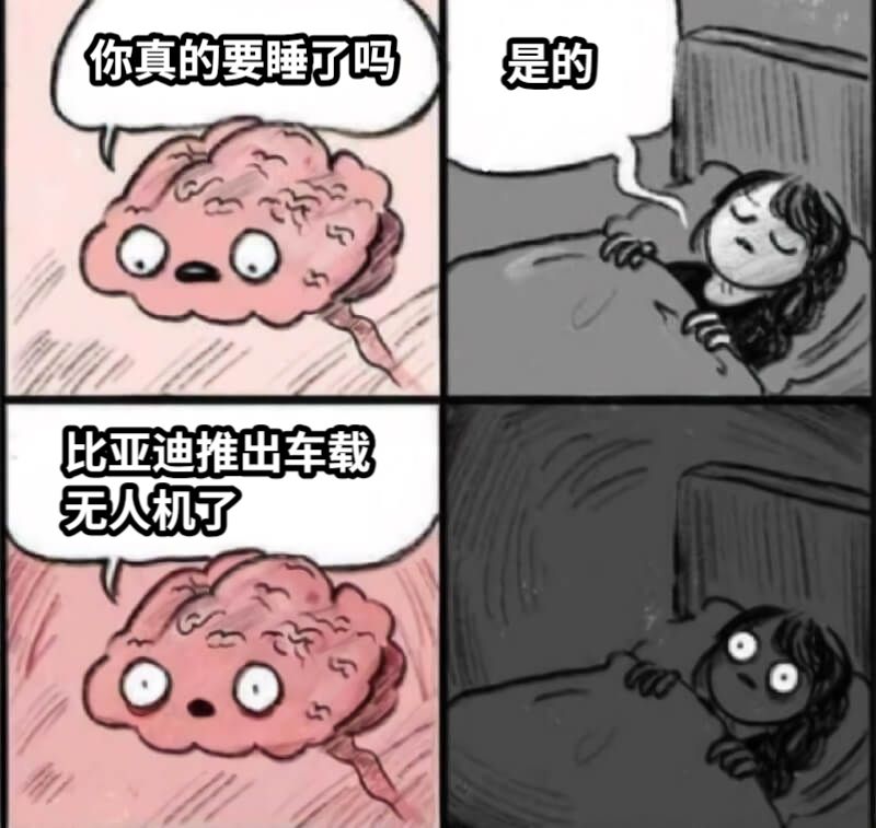 你真的要睡了吗是的比亚迪推出车载无人机了