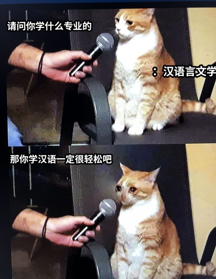 请问你学什么专业的：汉语言文学那你学汉语一定很轻松吧